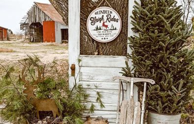 30-beautiful-christmas-tree-decorating-ideas-for-you