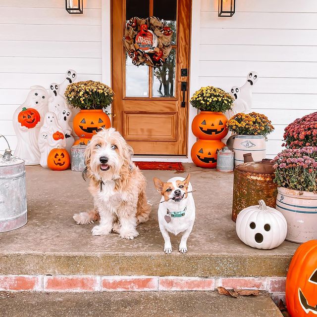 halloween porch decor ideas